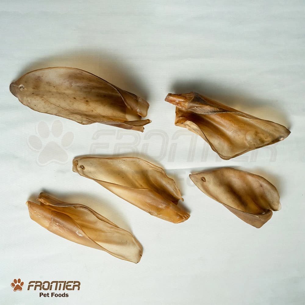 Cow Ears Without Hair