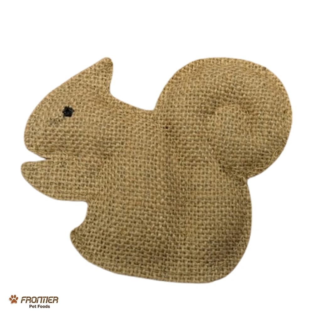 Rustic Jute Squirrel Dog Toy